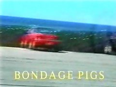 Bondage Pigs